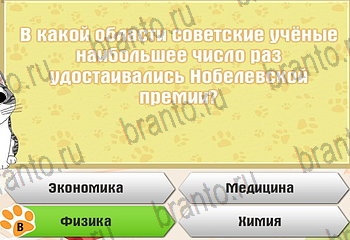 Одноклассники Самый умный котёнок решебник к игре в Одноклассниках Уровень 516