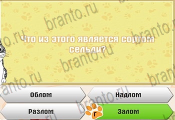 Самый умный котёнок в Одноклассниках найти ответы Уровень 518