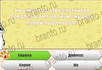 игра Самый умный котёнок из одноклассников подсказки Уровень 524