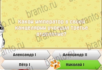 игра Самый умный котёнок все отгадки в Одноклассниках Уровень 530