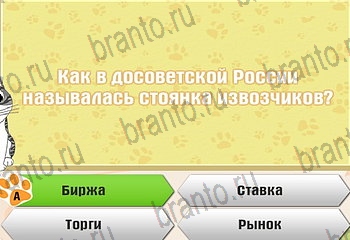 Самый умный котёнок все ответы Уровень 533