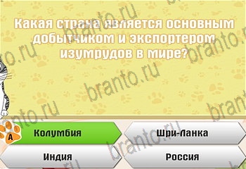 игра Самый умный котёнок все ответы Уровень 534