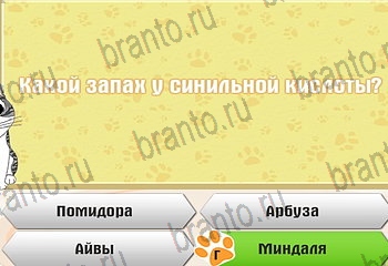 подсказки на все уровни игры Самый умный котёнок Уровень 536