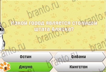 все решения к игре Самый умный котёнок Уровень 537