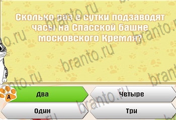 Самый умный котёнок игра ответы Уровень 539