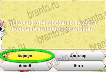 Самый умный котёнок ответы Уровень 541