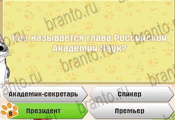 Самый умный котёнок Одноклассники подсказки Уровень 543