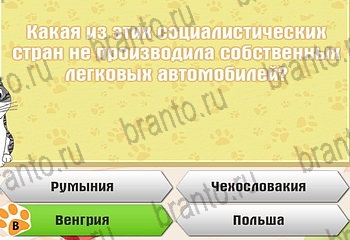 Самый умный котёнок игра из одноклассников помощь Уровень 545