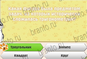 Самый умный котёнок в Одноклассниках найти ответы Уровень 548
