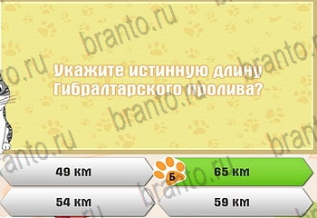 из одноклассников Самый умный котёнок ответы на игру Уровень 552