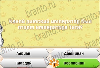 Самый умный котёнок ответы Уровень 571