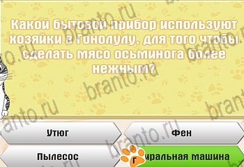 Одноклассники Самый умный котёнок решебник к игре в Одноклассниках Уровень 576