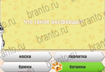 Самый умный котёнок в Одноклассниках найти ответы Уровень 578