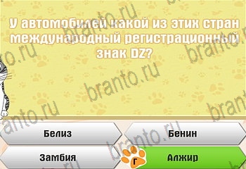 игра Самый умный котёнок все отгадки в Одноклассниках Уровень 590