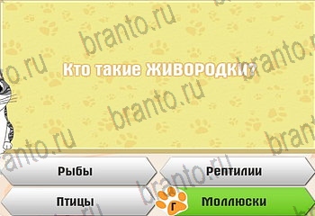 игра Самый умный котёнок разгадки на все задания Уровень 592
