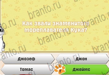 все решения к игре Самый умный котёнок Уровень 597