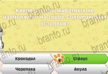 Самый умный котёнок ответы Уровень 601