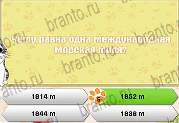 Одноклассники Самый умный котёнок ответ на Уровень 602