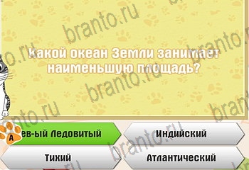 Одноклассники Самый умный котёнок прохождение игры Уровень 604