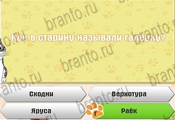Одноклассники Самый умный котёнок решебник к игре в Одноклассниках Уровень 606