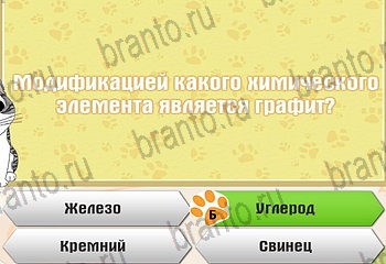 игра Самый умный котёнок в Одноклассниках ответы Уровень 609