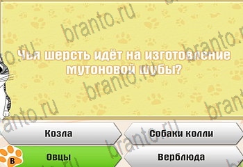 из одноклассников Самый умный котёнок ответы на игру Уровень 612
