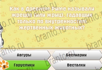 Самый умный котёнок в Одноклассниках подсказки Уровень 613