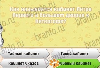 Игра Самый умный котёнок Одноклассники решения Уровень 617