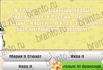 Самый умный котёнок Одноклассники решения на игру Уровень 618