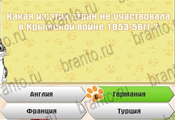 Самый умный котёнок разгадки к игре Уровень 621