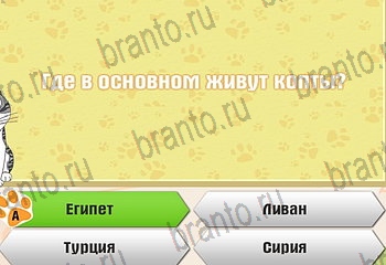 Самый умный котёнок все ответы Уровень 623