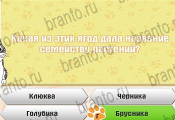 ответы на все уровни игры Самый умный котёнок Уровень 625