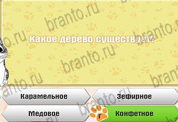 решения на все задания игры Самый умный котёнок Уровень 628