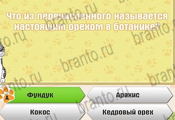 Самый умный котёнок игра ответы Уровень 629