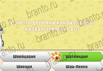 Самый умный котёнок ответы Уровень 631