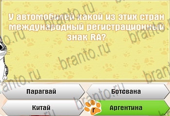 Самый умный котёнок Одноклассники подсказки Уровень 633