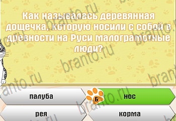 Самый умный котёнок игра из одноклассников помощь Уровень 635