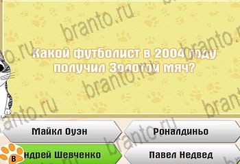 Одноклассники Самый умный котёнок решебник к игре в Одноклассниках Уровень 636