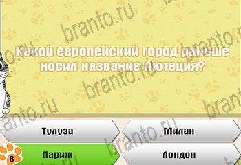 игра Самый умный котёнок в Одноклассниках ответы Уровень 639