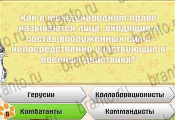 Самый умный котёнок в Одноклассниках подсказки Уровень 643