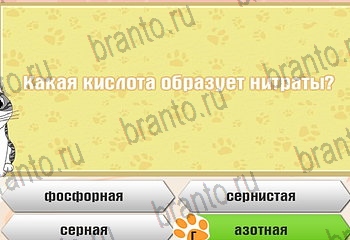 игра Самый умный котёнок из одноклассников подсказки Уровень 644