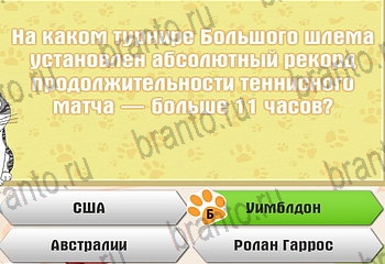 игра Самый умный котёнок все отгадки в Одноклассниках Уровень 650