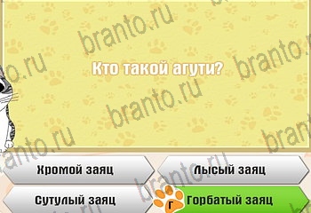 Самый умный котёнок все ответы Уровень 653