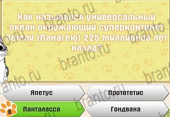 игра Самый умный котёнок ответы уровень 660