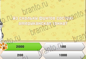 Самый умный котёнок ответы Уровень 661