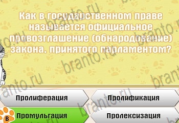 игра Самый умный котёнок в Одноклассниках ответы Уровень 669