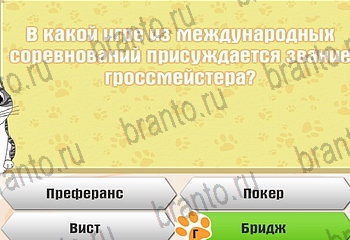 Самый умный котёнок ответы Уровень 670