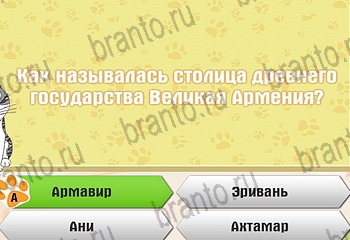 Самый умный котёнок в Одноклассниках подсказки Уровень 673