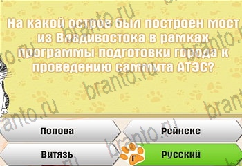 Самый умный котёнок из одноклассников помощь Уровень 676