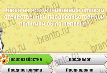 Игра Самый умный котёнок Одноклассники решения Уровень 677